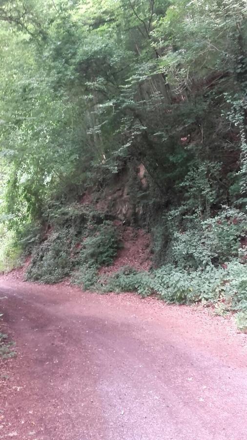 Ferienwohnungen "Am Fuerstenweg" نيوفيد المظهر الخارجي الصورة