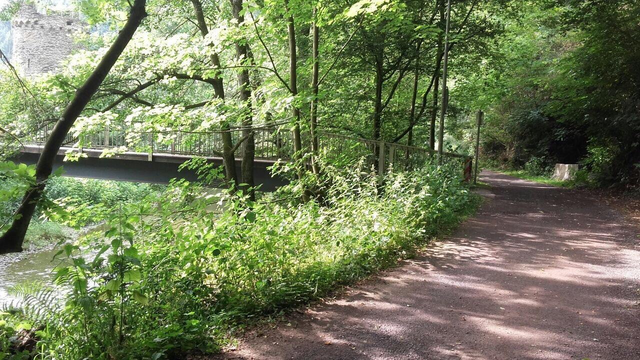 Ferienwohnungen "Am Fuerstenweg" نيوفيد المظهر الخارجي الصورة
